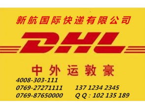 專業(yè)高效，鏈接全球 企石DHL快遞服務(wù)與南城新航貨運(yùn)倉儲(chǔ)解決方案